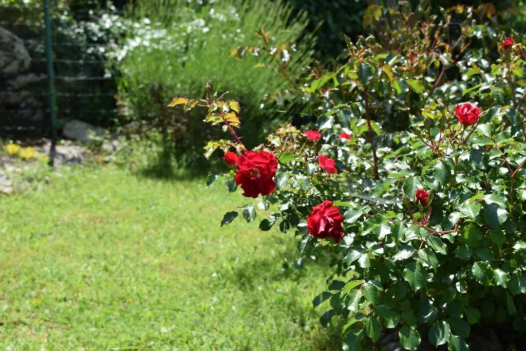 Apartment Chiara Labin   Labin (Istria)